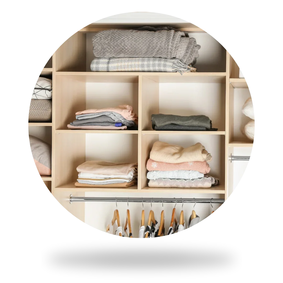 Organização